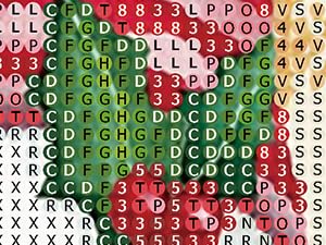 8bed8cae 056c 4b72 aa50 fbf9f2c5f5e2. cr0,38,300,225 pt0 sx300 v1
